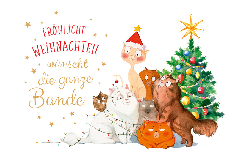 Green Karma XMAS Doppelkarte - Niedliche Katzen-Bande